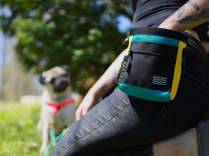 Dog Training Treat Bag